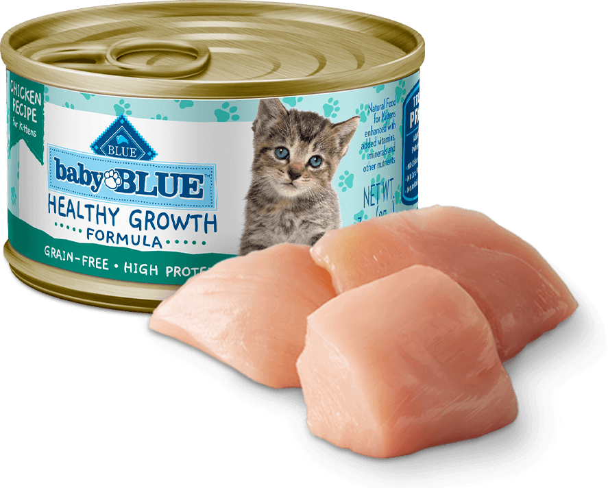 BLUE Buffalo Baby High-Protein, Grain-Free Chicken Recipe - Kitten